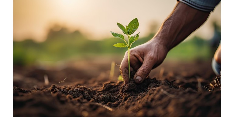 Nuestros valores: Sostenibilidad y medio ambiente